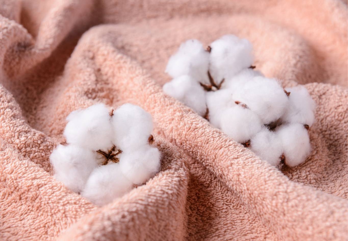 Peach Fuzz en el baño