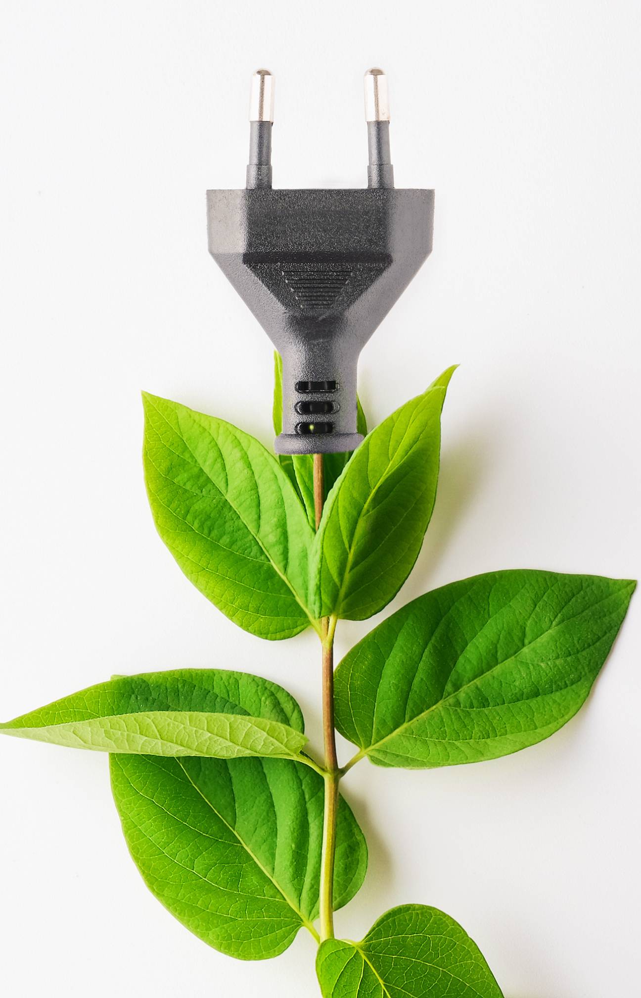 Qué tarifa de luz elegir en tu nuevo hogar