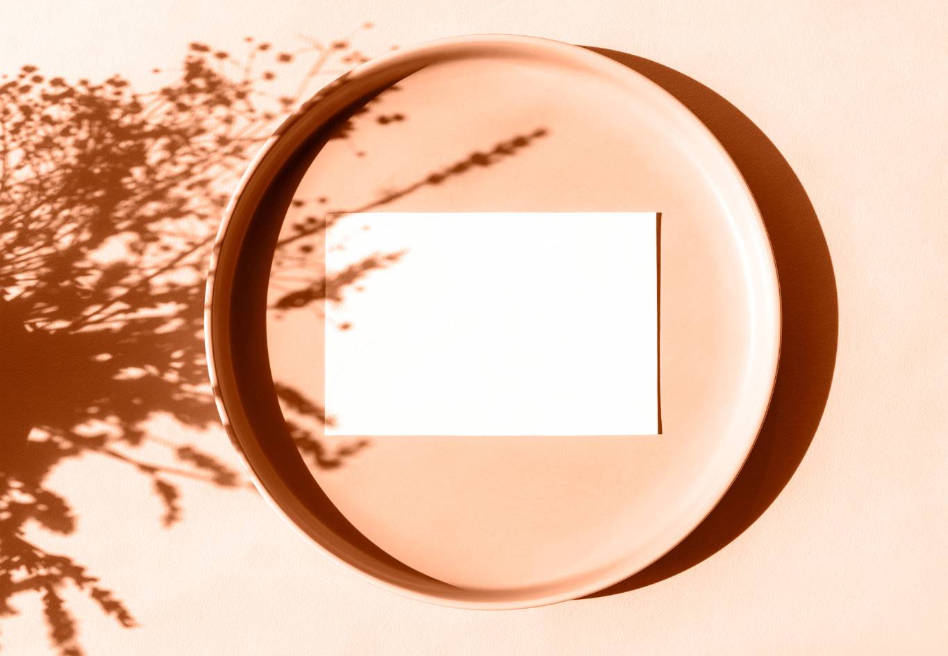 Color pantone en la cocina