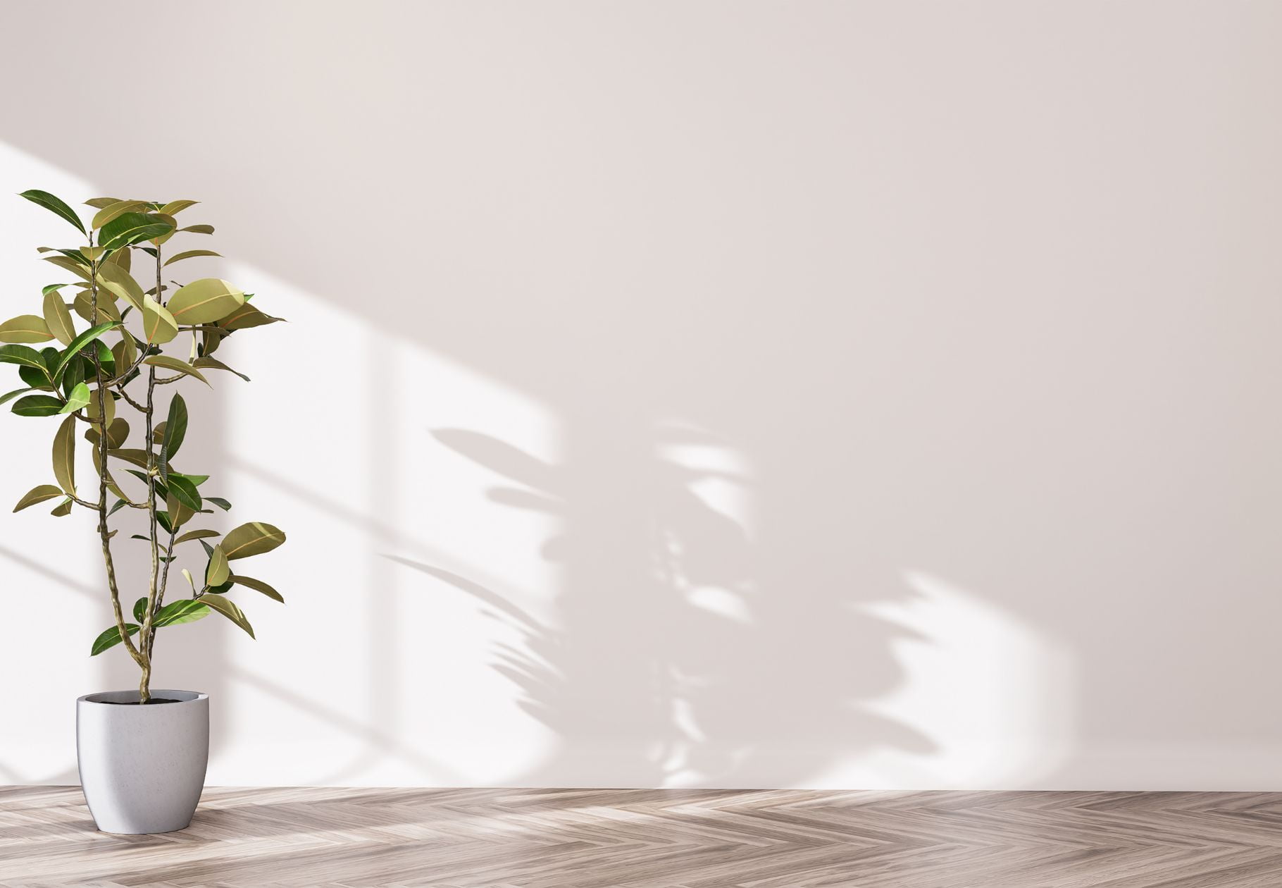 Colores claros para la luz natural