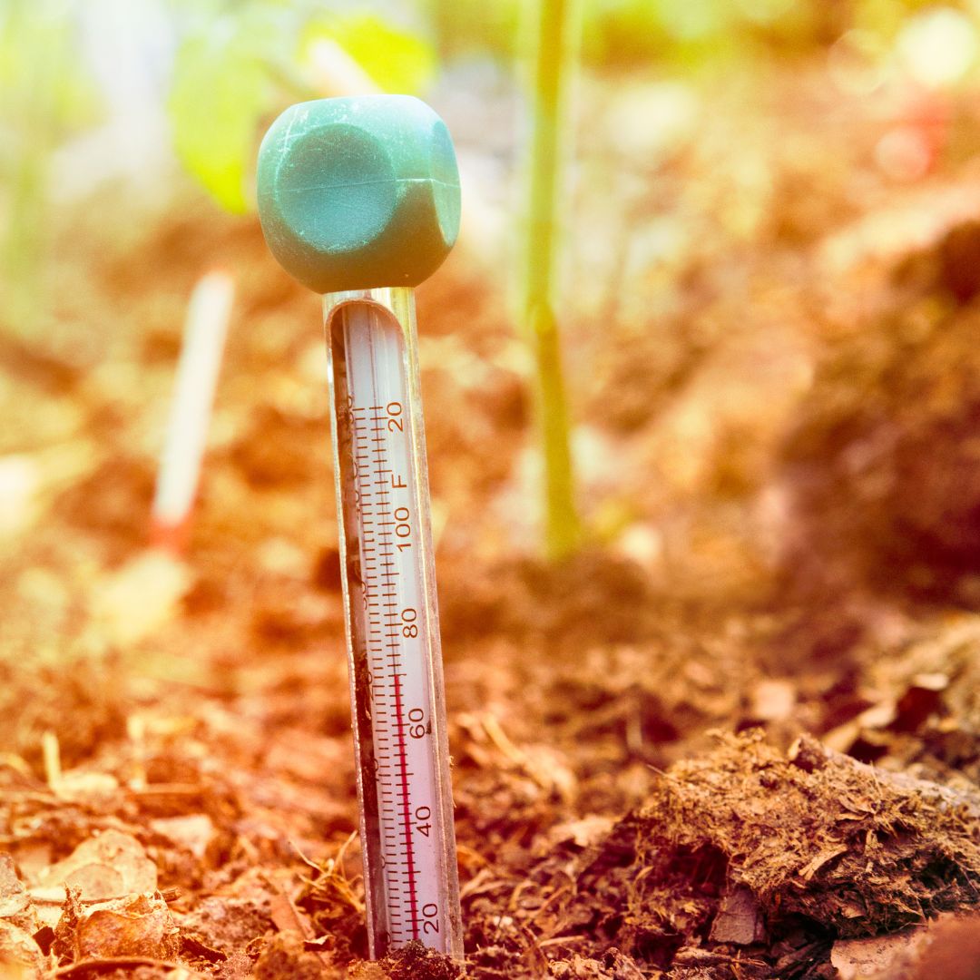 Termómetro de jardín