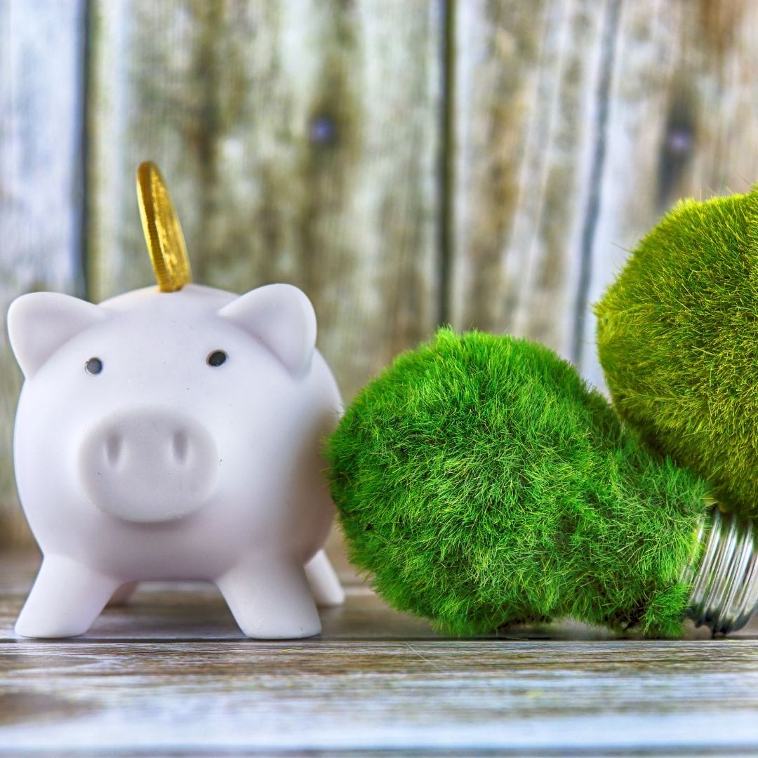 Ahorro energético en electrodomésticos