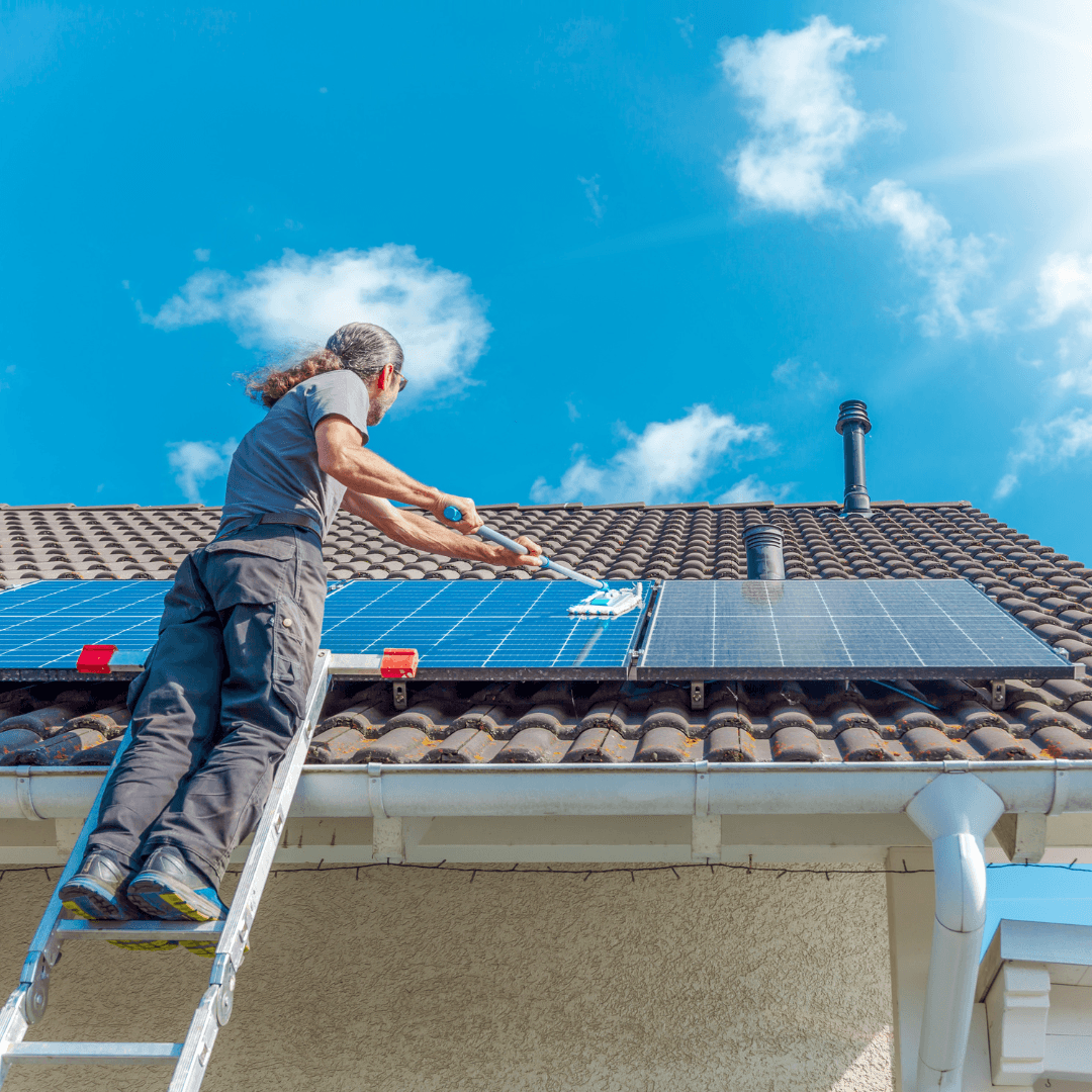 tendencias en reformas