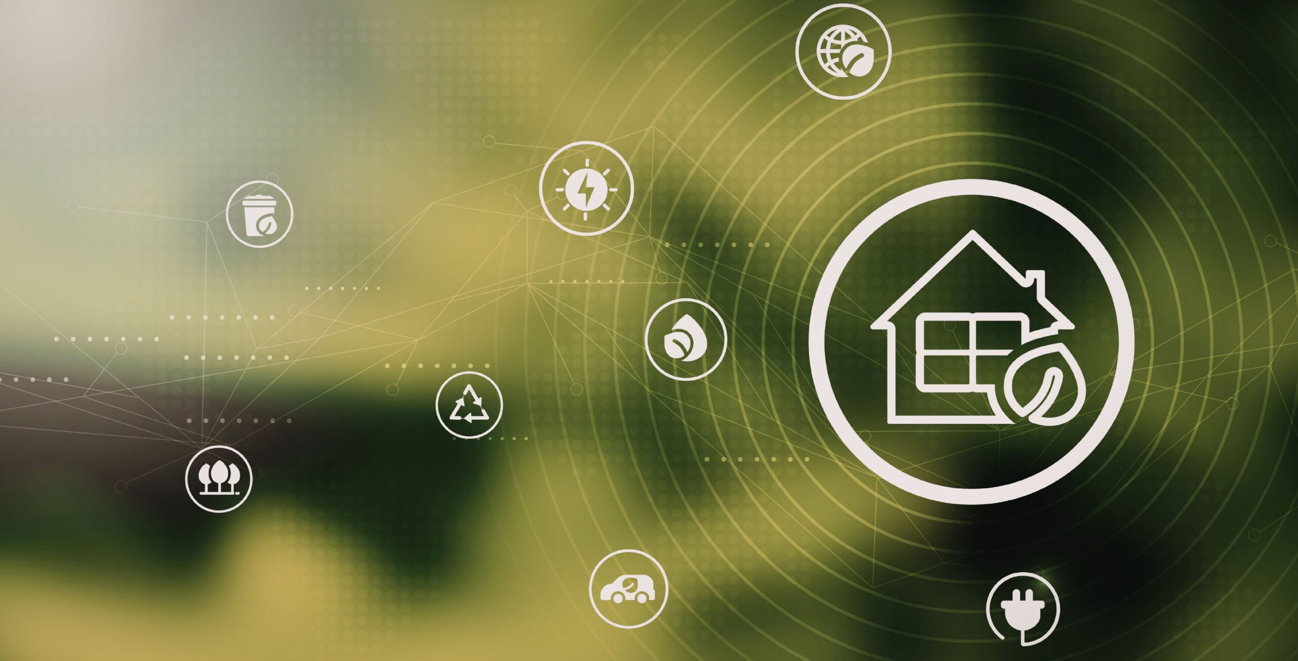 Tendencias en reformas