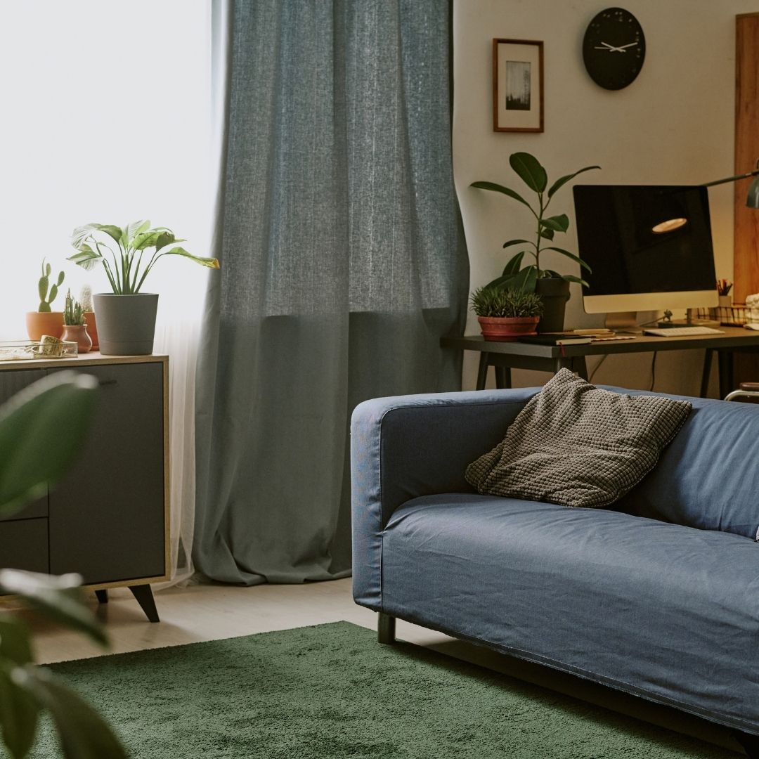 Consejos diseño biofilico