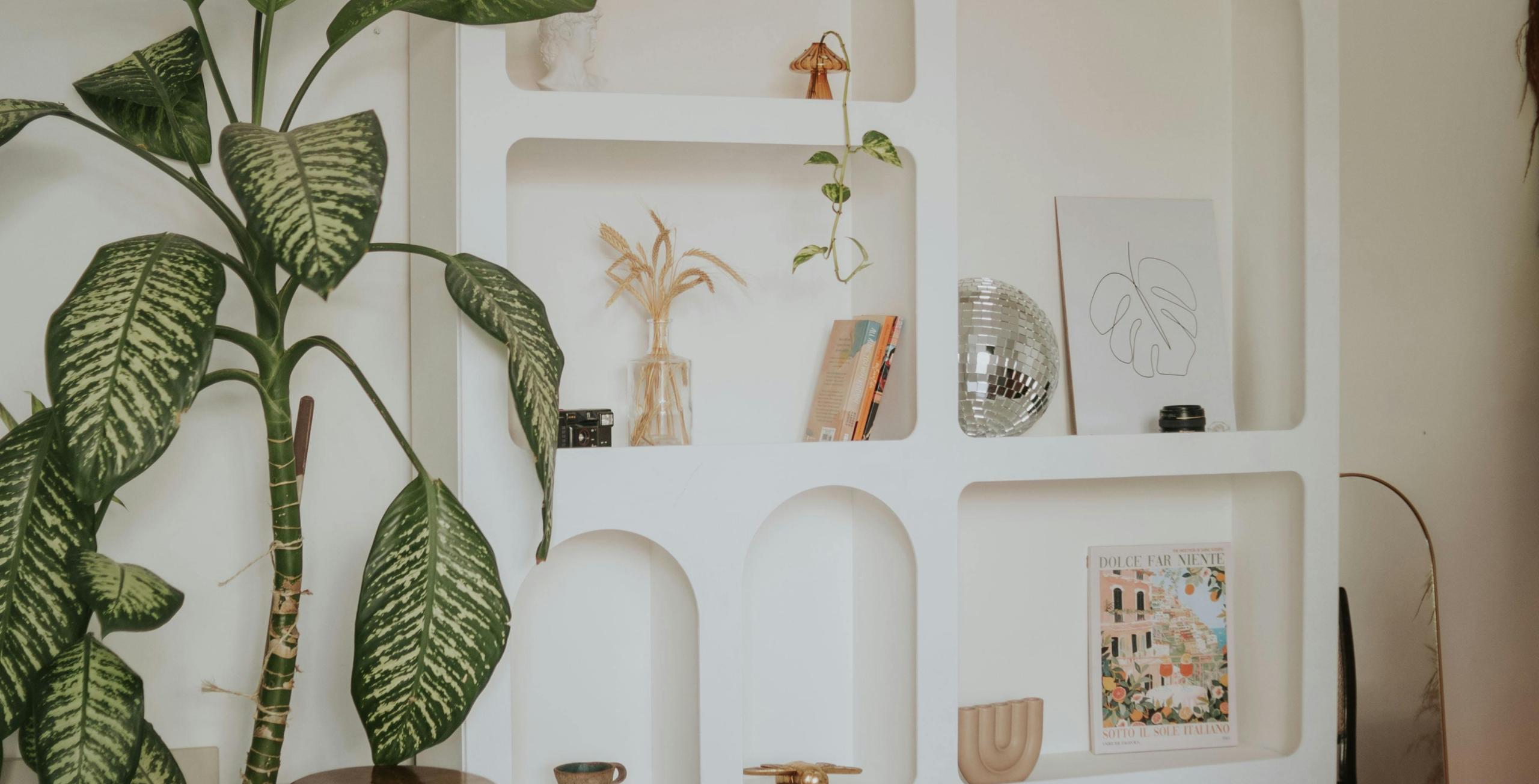 Art. Materiales naturales en interior_Plantas naturales